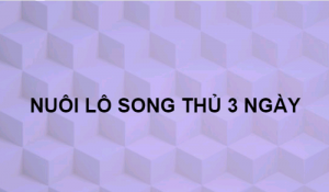 Nuoi- Lo- Song- Thu- 3- Ngay