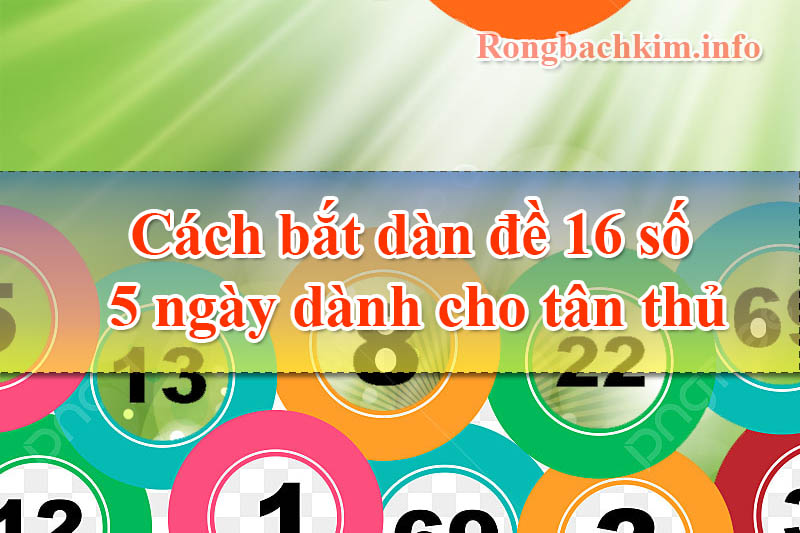 Cách bắt dàn đề 16 số 5 ngày dành cho tân thủ