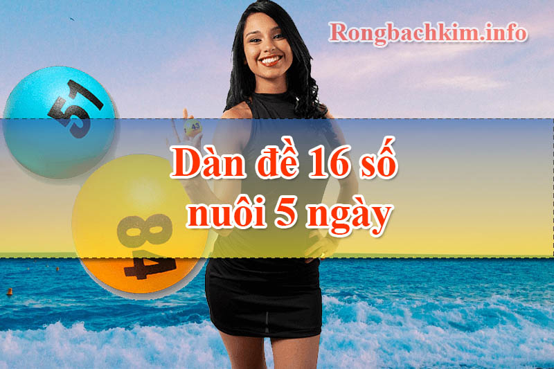 Dàn đề 16 số nuôi 5 ngày