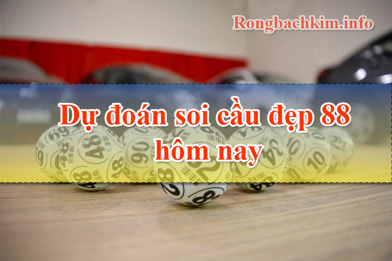 Dự đoán soi cầu đẹp 88 hôm nay miễn phí