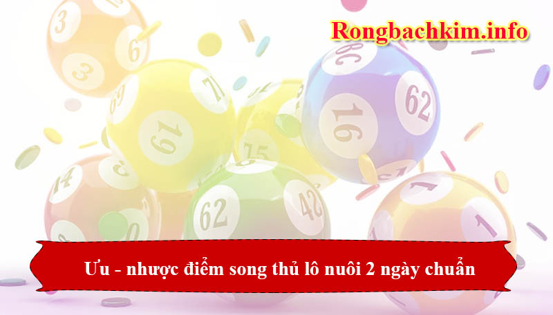 Ưu điểm khi nuôi song thủ lô 2 ngày