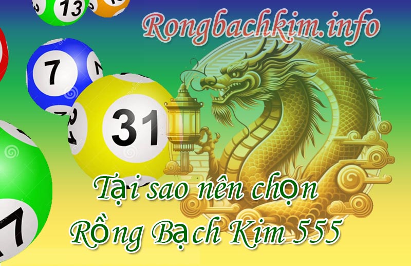 Tại sao Rồng Bạch Kim 555 lại được nhiều anh em yêu thích