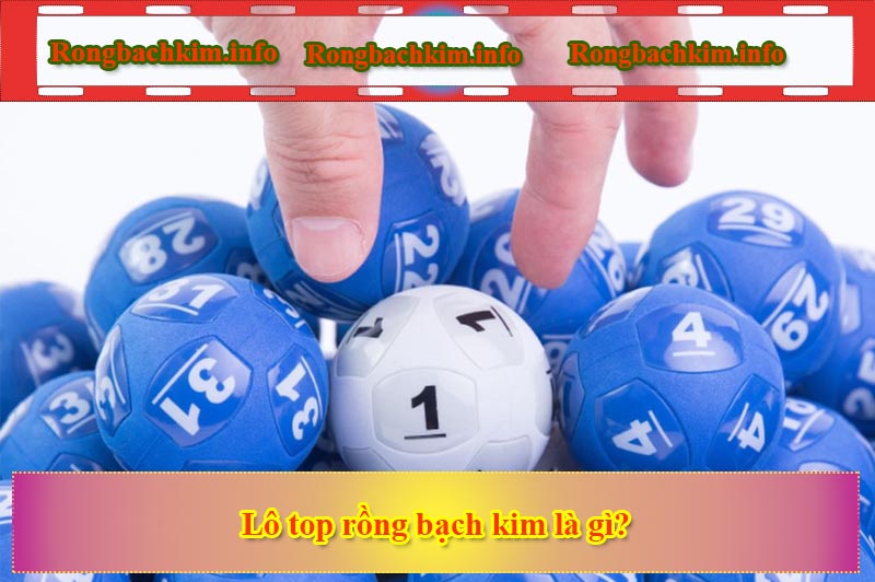 Lô top rồng bạch kim là gì