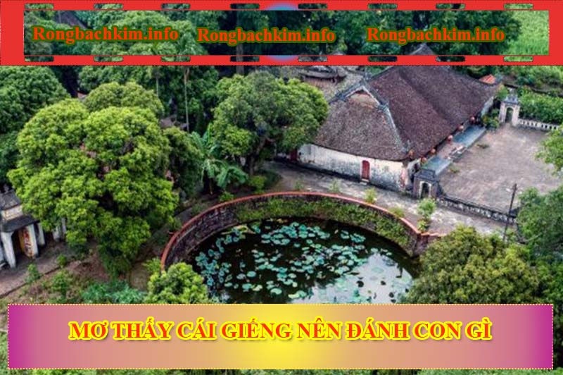 Mơ thấy cái giếng nên đánh con gì