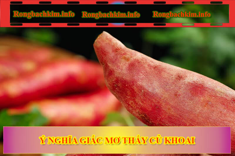 Ý nghĩa giấc mơ thấy củ khoai