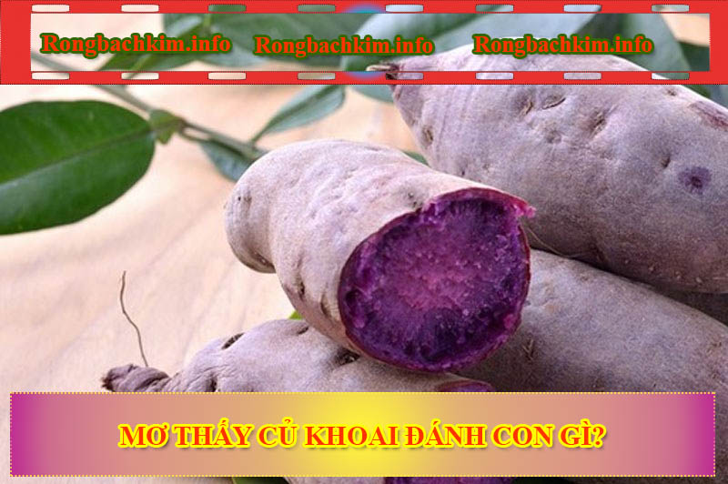 Mơ thấy củ khoai đánh con gì