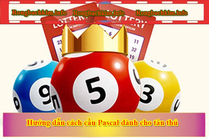 Hướng dẫn cách cầu Pascal dành cho tân thủ