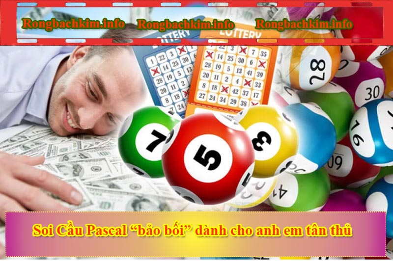 Soi Cầu Pascal “bảo bối” dành cho anh em tân thủ