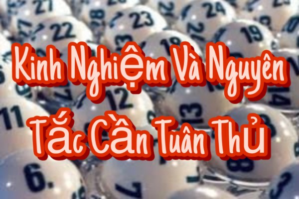 Không tuyệt đối hóa bất kỳ cầu rồng bạch kim nào