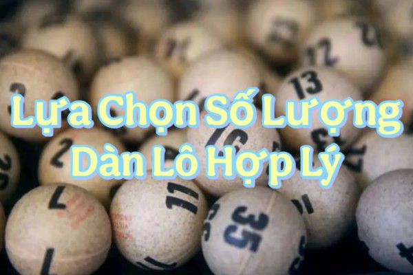 Lựa Chọn Số Lượng Dàn Lô Hợp Lý Theo Phân Tích Rủi Ro