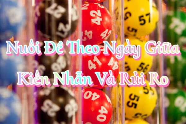 Nuôi Đề Theo Ngày Giữa Sự Kiên Nhẫn Và Mức Độ Rủi Ro