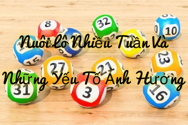 Nuôi Lô Nhiều Tuần Và Những Yếu Tố Ảnh Hưởng Đến Kết Quả