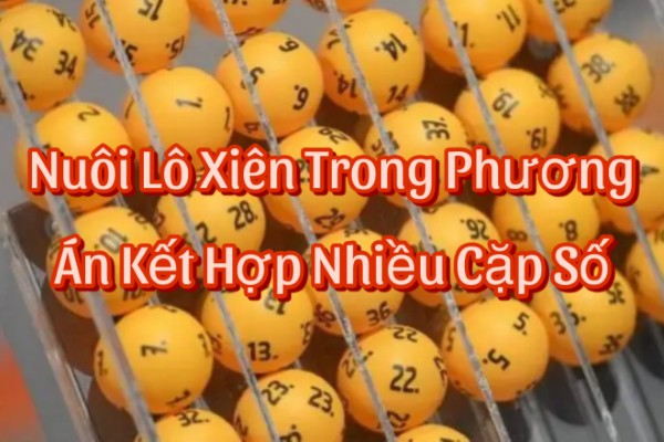 Nuôi Lô Xiên Trong Phương Án Kết Hợp Nhiều Cặp Số