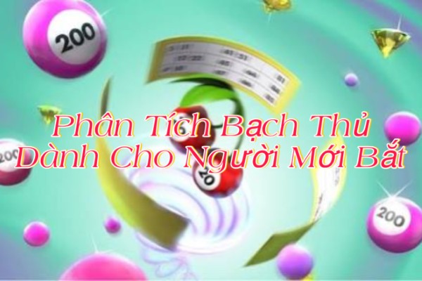 Phân Tích Bạch Thủ Dành Cho Người Mới Bắt Đầu