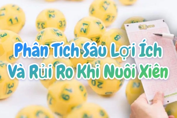 Lợi ích từ việc đa dạng hóa cặp xiên