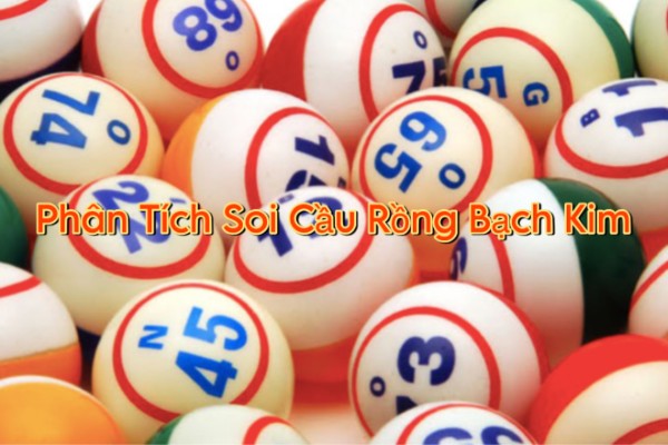Cách thu thập và xử lý dữ liệu trong soi cầu Rồng Bạch Kim