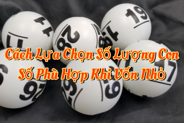 Dàn 2–3 số: Phù hợp khi vốn rất hạn chế