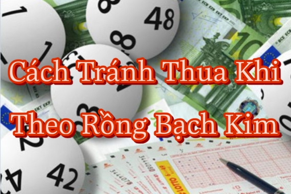Cách Tránh Thua Khi Theo Rồng Bạch Kim