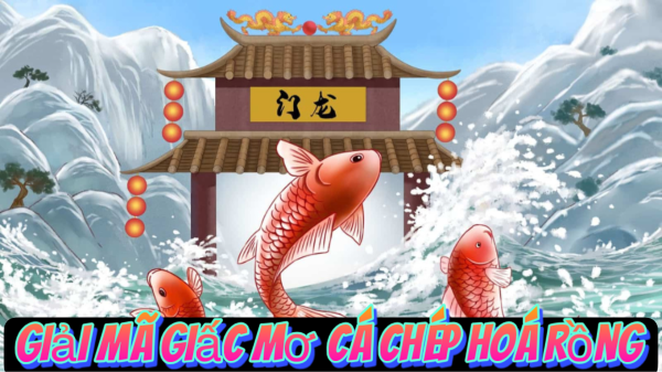 Giải Mã Giấc Mơ Cá Chép Hóa Rồng