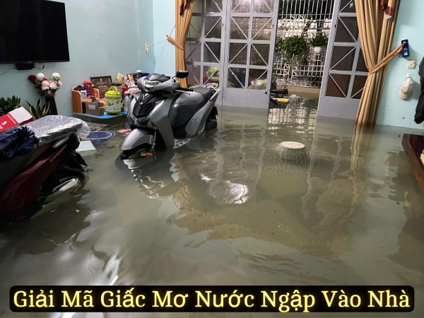Giải Mã Giấc Mơ Nước Ngập Vào Nhà