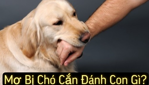 Tổng hợp các con số thường gặp