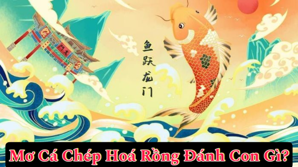 Tổng hợp các con số phổ biến liên quan đến cá chép hóa rồng