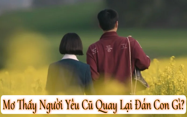 Con số chung khi mơ thấy người yêu cũ quay lại