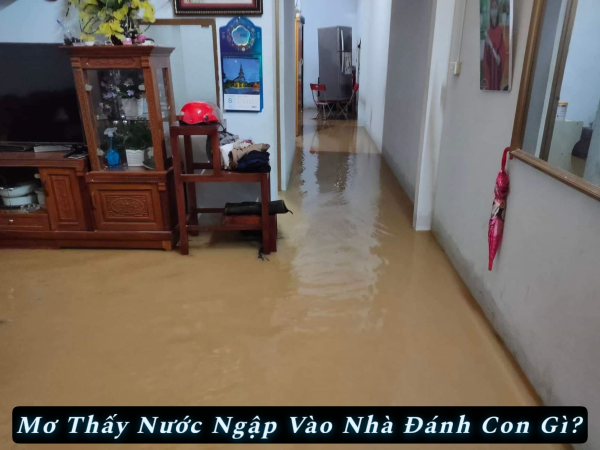Con số chung khi mơ nước ngập nhà