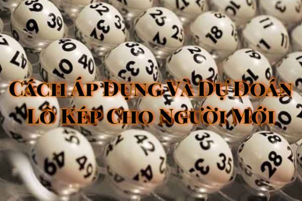 Chọn số lượng lô kép vừa phải