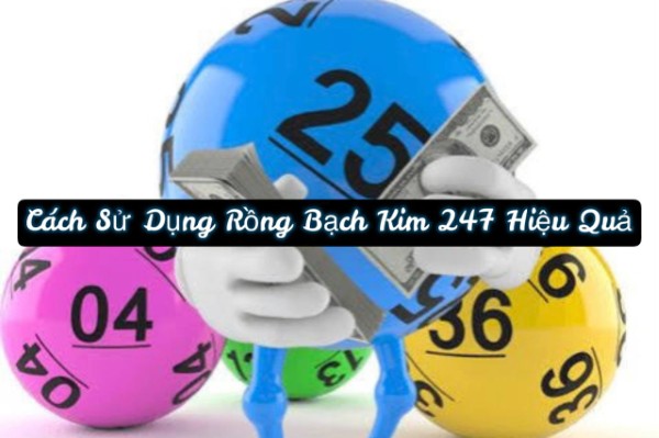 Lập kế hoạch chọn số