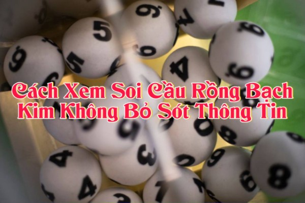 Cách Xem Soi Cầu Rồng Bạch Kim Không Bỏ Sót Thông Tin