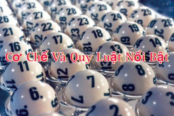 Thống kê thông minh và trực quan