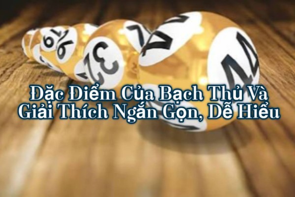 Đặc Điểm Của Bạch Thủ Và Giải Thích Ngắn Gọn, Dễ Hiểu
