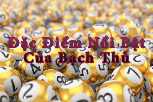 Tính đơn giản và dễ tiếp cận
