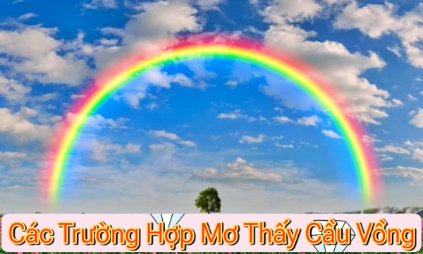 Mơ thấy cầu vồng sau cơn mưa lớn