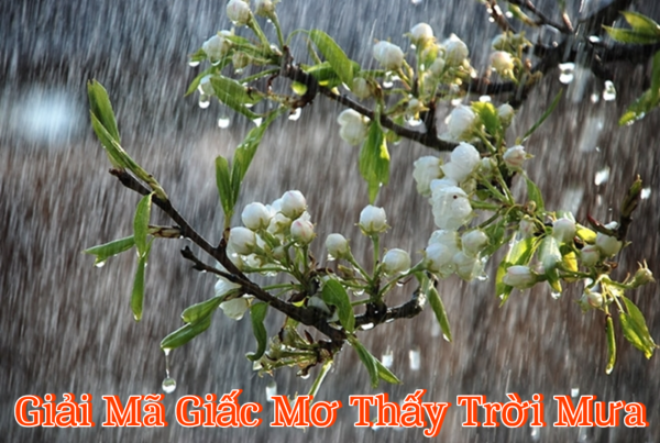 Giải Mã Giấc Mơ Thấy Trời Mưa