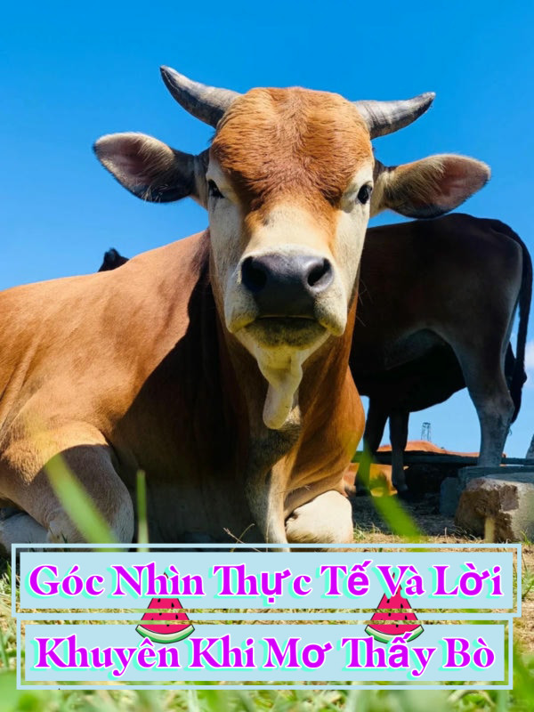 Giấc mơ phản ánh điều gì trong cuộc sống?