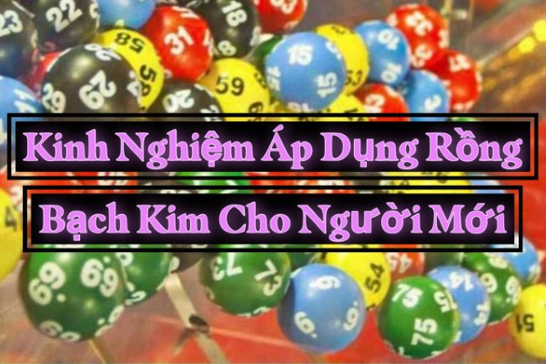 Theo dõi kết quả liên tục