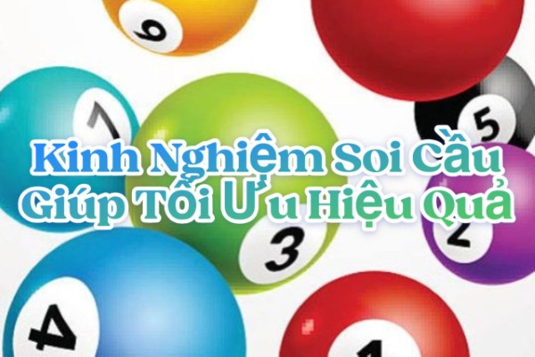 Luôn cập nhật và làm mới dữ liệu mỗi ngày