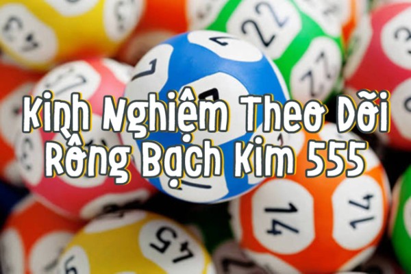 Kinh Nghiệm Theo Dõi Rồng Bạch Kim 555 Cho Người Mới
