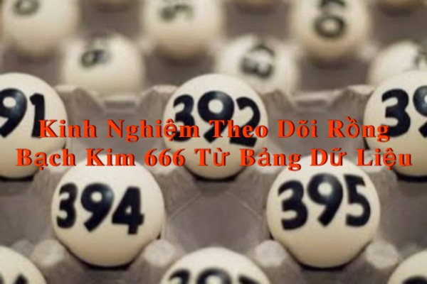 Kinh Nghiệm Theo Dõi Rồng Bạch Kim 666 Từ Bảng Dữ Liệu