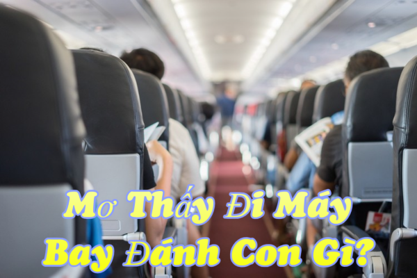 Tổng Hợp Những Con Số Phổ Biến Khi Mơ Thấy Đi Máy Bay