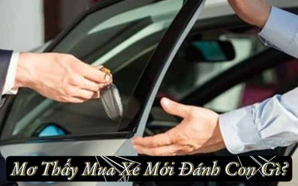 Tổng Hợp Con Số Theo Từng Hoàn Cảnh