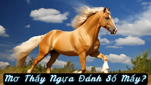 Con số phổ biến khi mơ thấy ngựa