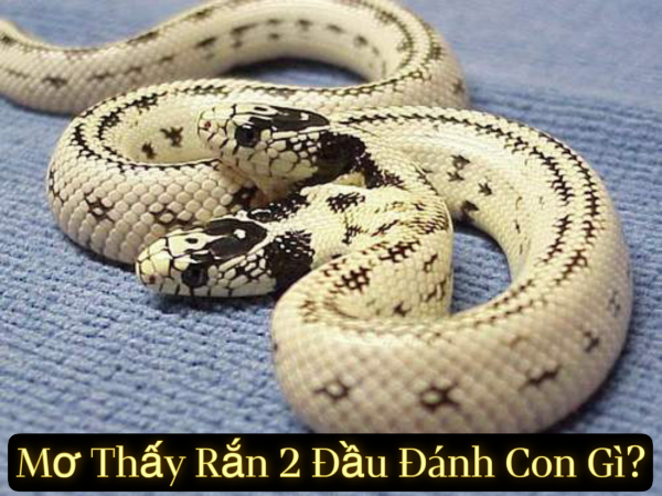 Tổng Hợp Con Số Theo Từng Hoàn Cảnh