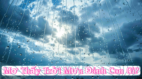 Con số chung khi mơ thấy trời mưa