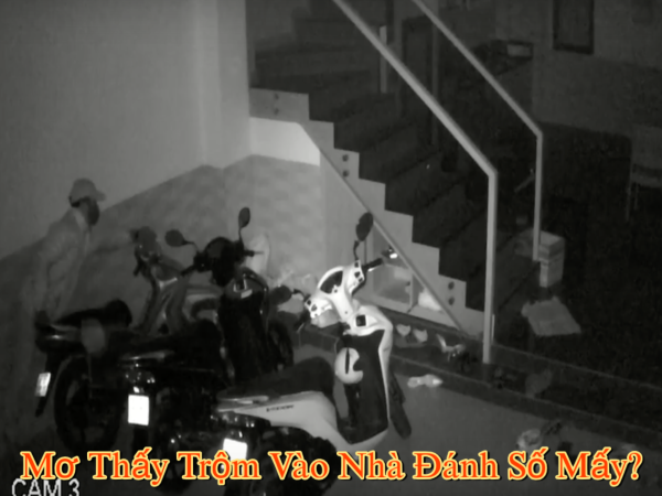 Con số may mắn khi mơ thấy trộm vào nhà