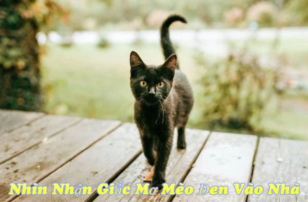 Không nên tuyệt đối hóa yếu tố tâm linh