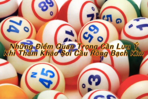 Những Điểm Quan Trọng Cần Lưu Ý Khi Tham Khảo Soi Cầu Rồng Bạch Kim
