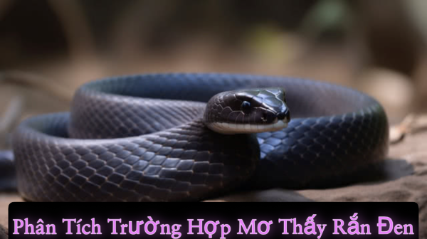 Mơ thấy rắn đen bò vào nhà